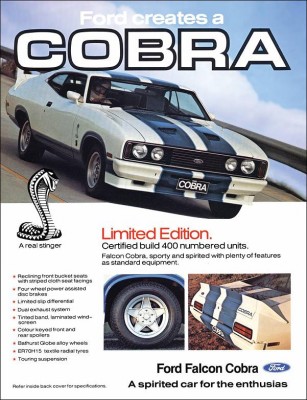 Cobra brochure.jpg