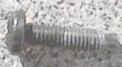 IMG00071.jpg