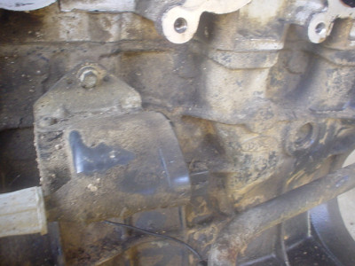 DSC02025.JPG