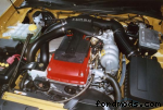 The 250rwkw engine