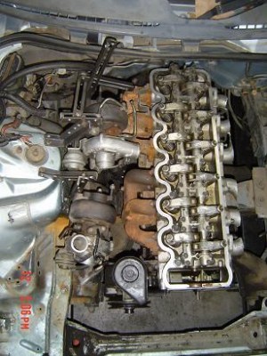 DSC03183_turboEA.JPG