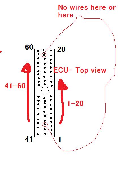 ecu.jpg