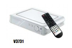 V3731.jpg