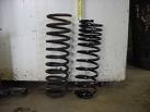 rears.jpg