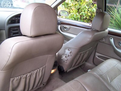 100_7015 (Medium).jpg