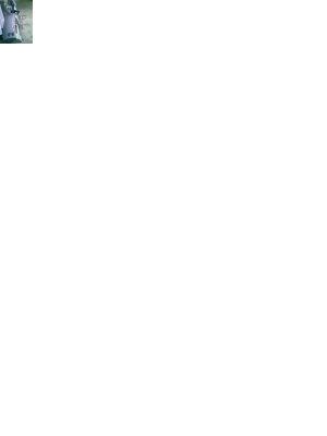 dash.png