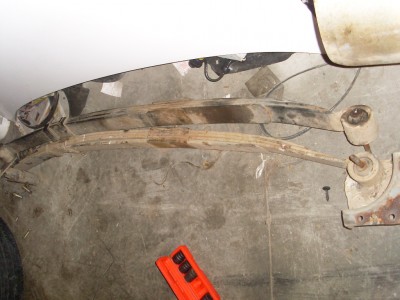 SL374693.JPG