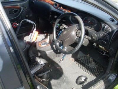 SL374698.JPG