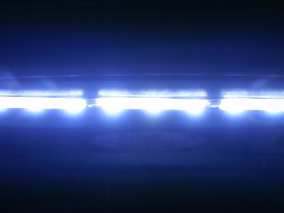 close up of LED strip (Large).JPG