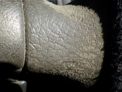 Steering wheel [800x600].jpg