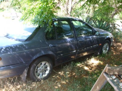 DSCF5795.JPG