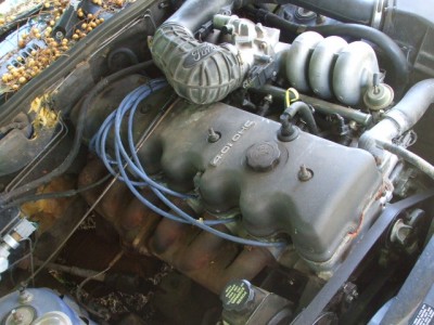 DSCF5796.JPG