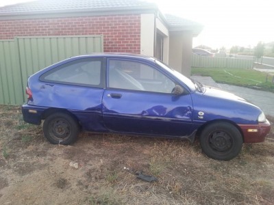 Festiva 3.jpg