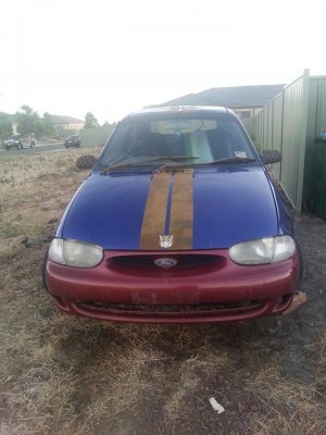 Festiva 4.jpg