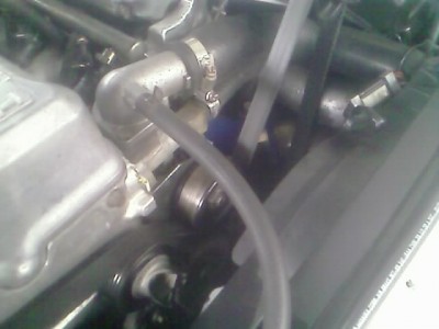 Supercharger Belt 2 XFPaul.jpg