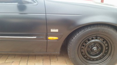 bogan3.jpg