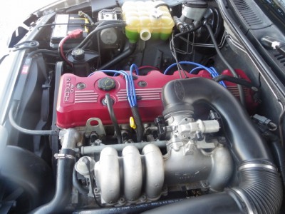 IMGP0136 (640x480).jpg