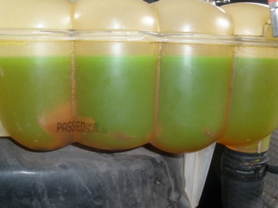 Radiator coolant.JPG
