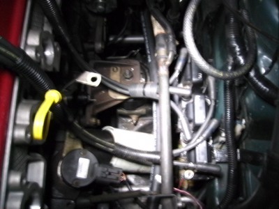 BILD0578.JPG