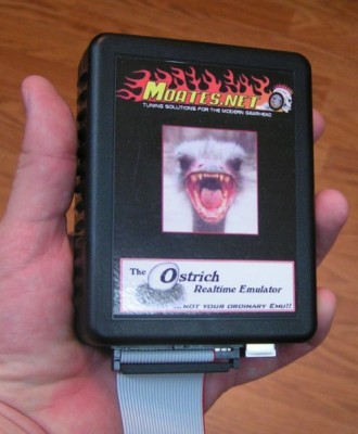 ostrich.jpg