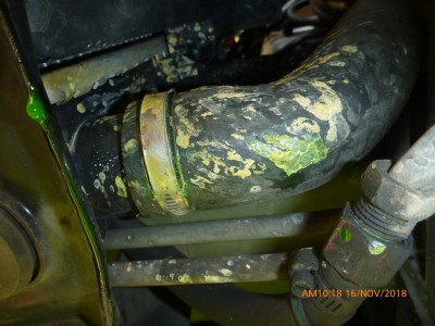 Radiator Hose (Copy).JPG