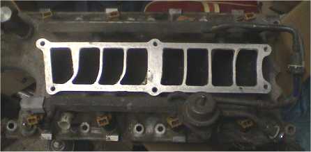 Image1.jpg