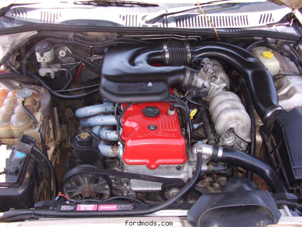 Ported Tickford Head, Au Motor, Pacey Comp 4480s, EL Fuel Inject