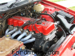 Engine Bay - Pacies, Thermos, XH Snorkle