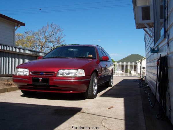 ED V8