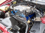 ED V8 engine bay