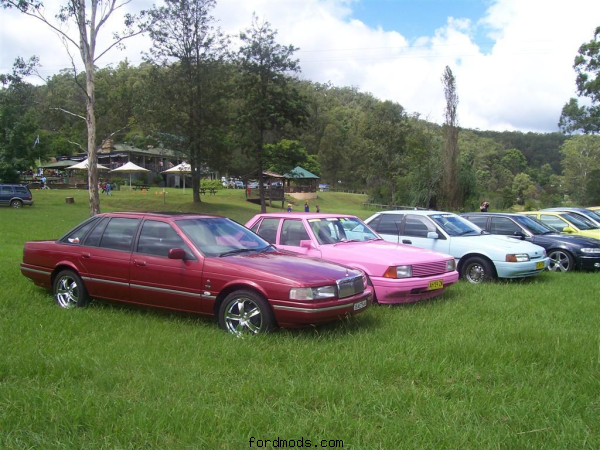 Wollombi Cruise
