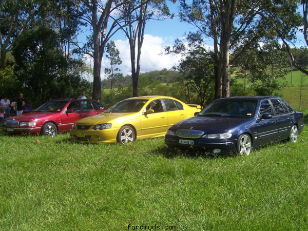 Newie Boys