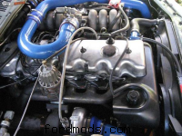 Random image from turbotrav's gallery