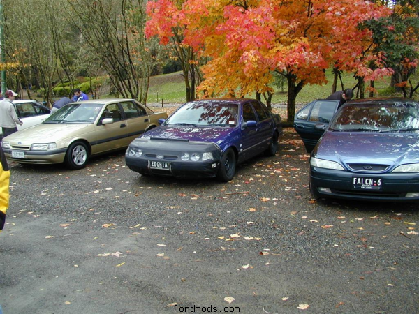 My old EA + EDGHIA