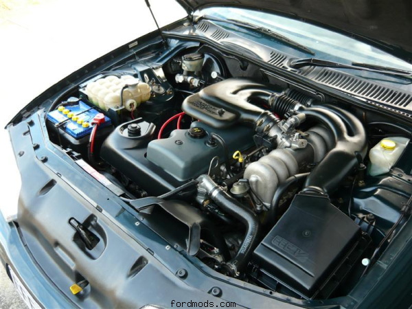 Engine Bay
