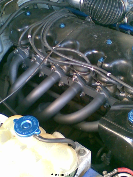 wild cat extractors