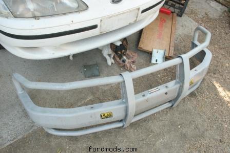 New bullbar + dog
