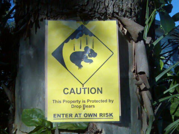 Drop Bears!!