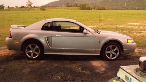 my stang