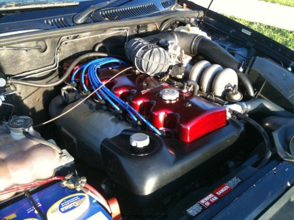 My engine bay