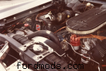 MyHO underhood