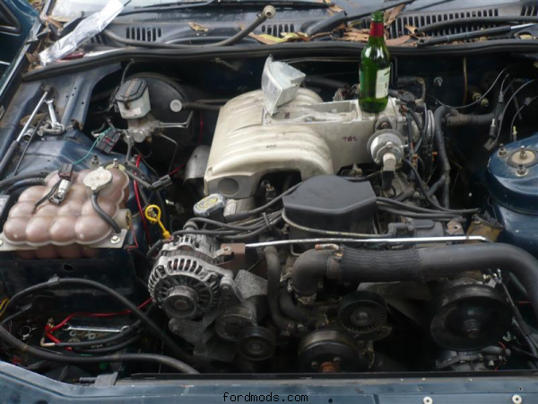 V8