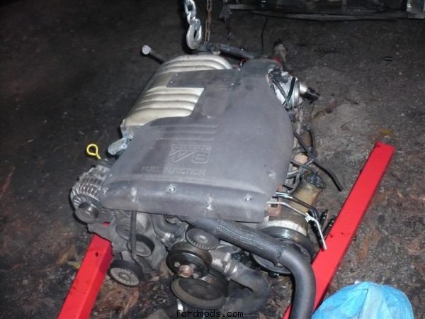5 litre on the ground