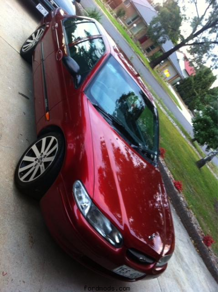 my el gli