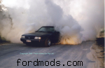 XR9UTE burnout