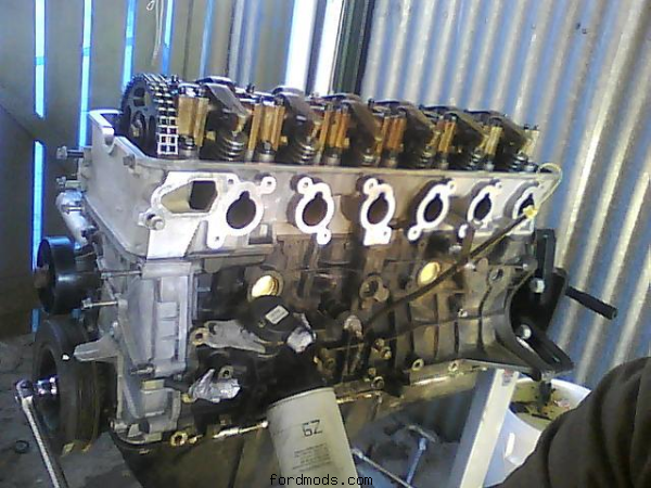 welch plugs done