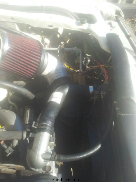 Xg-Ef thermo wiring.