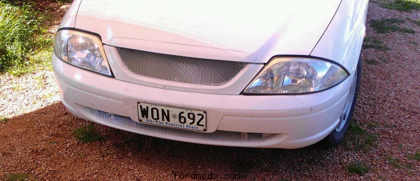 Mesh grille replacement