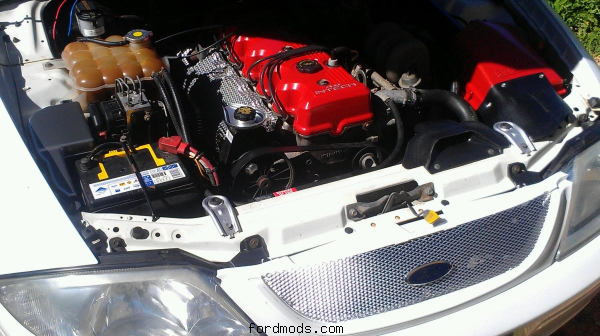 Forte engine bay