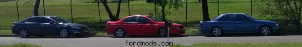 3 out of 4 fords that live at my house